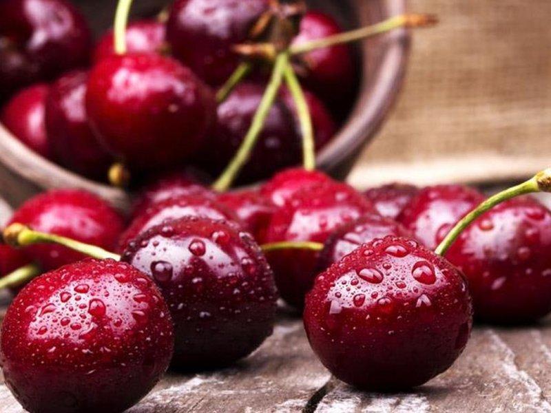 Вишня купить саженцы из питомника в Дзержинском